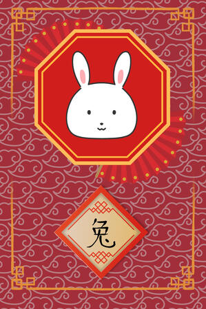 The Rabbit